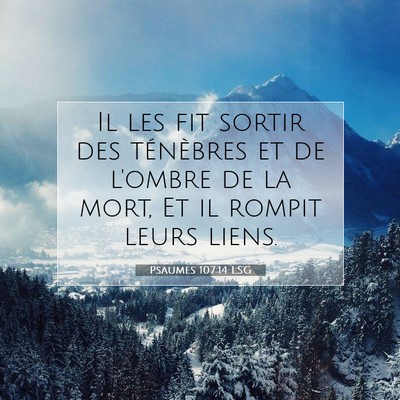 Psaumes 107:14 LSG Image du verset biblique