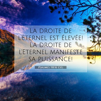 Psaumes 118:16 LSG Image du verset biblique