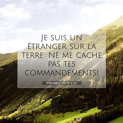 Psaumes 119:19 LSG Image du verset biblique