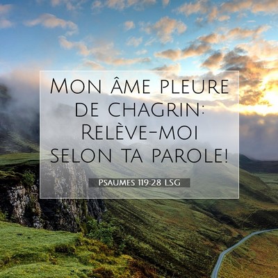 Psaumes 119:28 Verset biblique expliqué