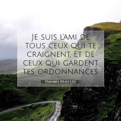 Psaumes 119:63 LSG Image du verset biblique