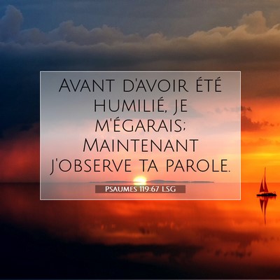 Psaumes 119:67 Verset biblique expliqué