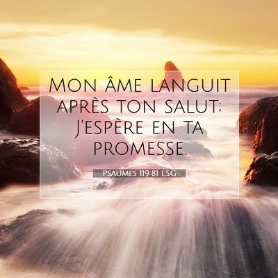 Psaumes 119:81 Verset biblique expliqué