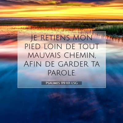 Psaumes 119:101 LSG Image du verset biblique