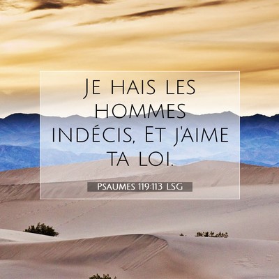 Psaumes 119:113 Verset biblique expliqué