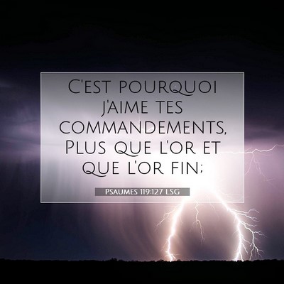 Psaumes 119:127 LSG Image du verset biblique