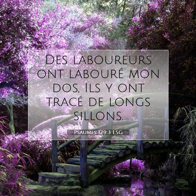 Psaumes 129:3 LSG Image du verset biblique