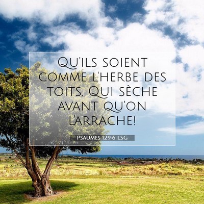 Psaumes 129:6 Verset biblique expliqué