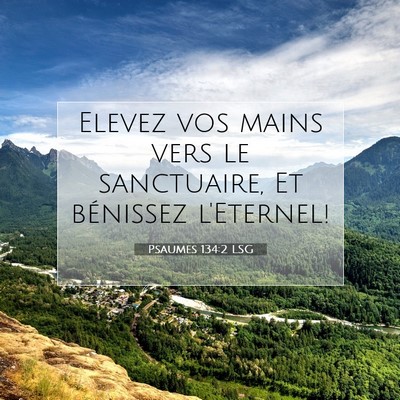 Psaumes 134:2 LSG Image du verset biblique