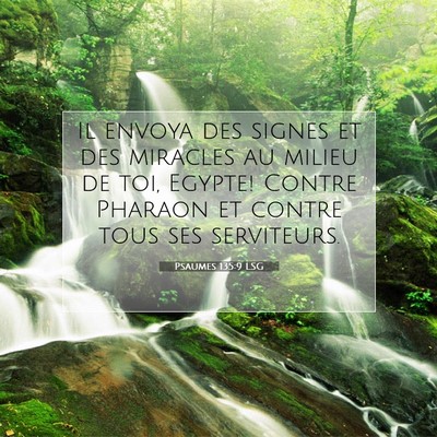 Psaumes 135:9 LSG Image du verset biblique