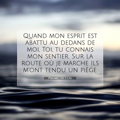 Psaumes 142:3 LSG Image du verset biblique