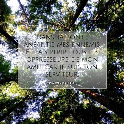 Psaumes 143:12 Verset biblique expliqué