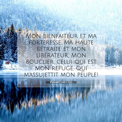 Psaumes 144:2 LSG Image du verset biblique