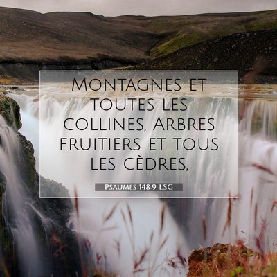 Psaumes 148:9 LSG Image du verset biblique