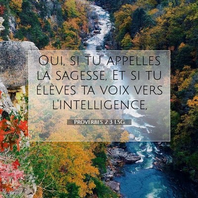 Proverbes 2:3 LSG Image du verset biblique