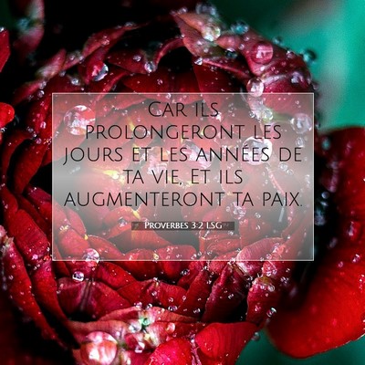 Proverbes 3:2 LSG Image du verset biblique