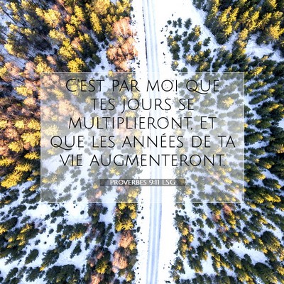 Proverbes 9:11 LSG Image du verset biblique