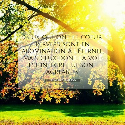 Proverbes 11:20 LSG Image du verset biblique