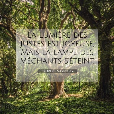 Proverbes 13:9 LSG Image du verset biblique