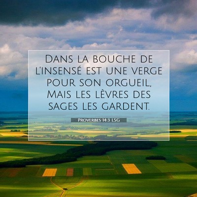 Proverbes 14:3 LSG Image du verset biblique