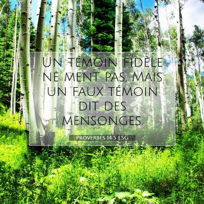 Proverbes 14:5 LSG Image du verset biblique