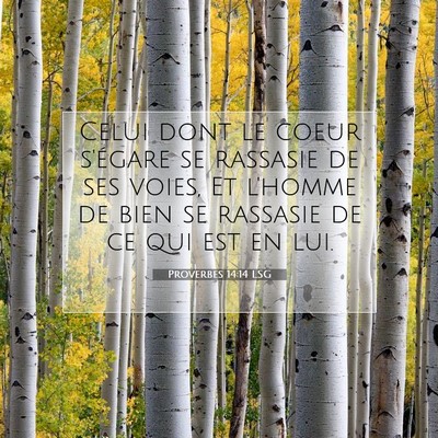 Proverbes 14:14 LSG Image du verset biblique