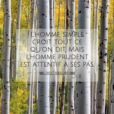 Proverbes 14:15 LSG Image du verset biblique