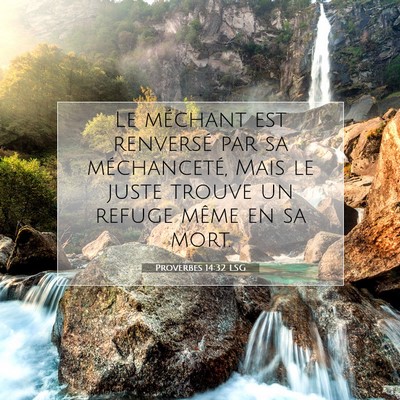 Proverbes 14:32 LSG Image du verset biblique