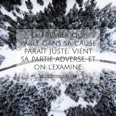 Proverbes 18:17 LSG Image du verset biblique