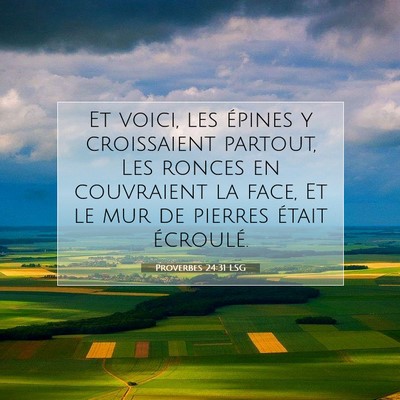 Proverbes 24:31 LSG Image du verset biblique