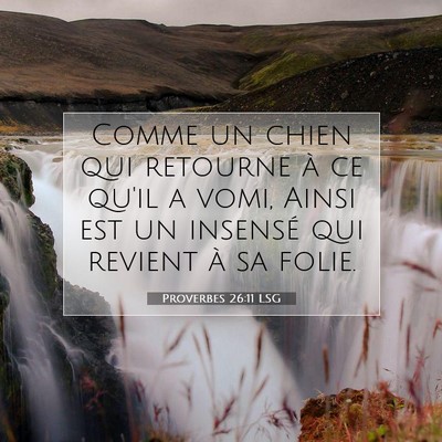 Proverbes 26:11 LSG Image du verset biblique