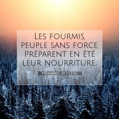 Proverbes 30:25 LSG Image du verset biblique