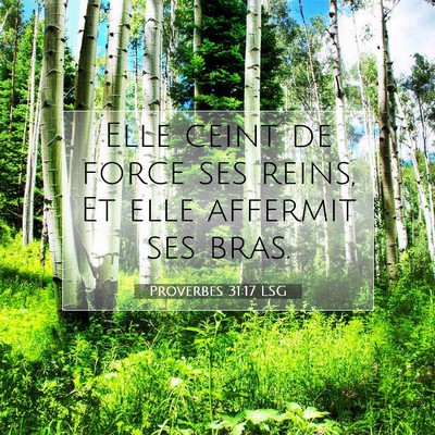 Proverbes 31:17 LSG Image du verset biblique