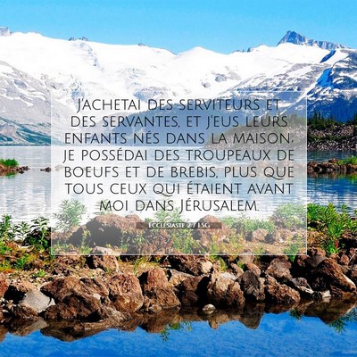 Ecclésiaste 2:7 LSG Image du verset biblique