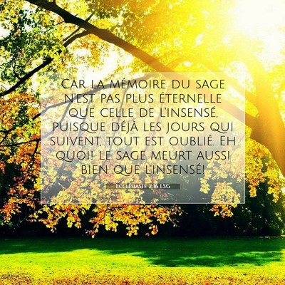 Ecclésiaste 2:16 LSG Image du verset biblique