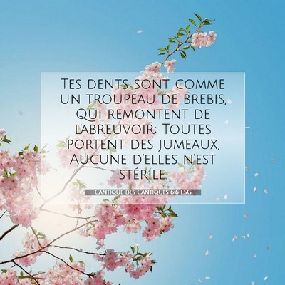 Cantique des Cantiques 6:6 Verset biblique expliqué