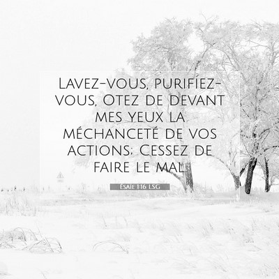 Ésaïe 1:16 LSG Image du verset biblique