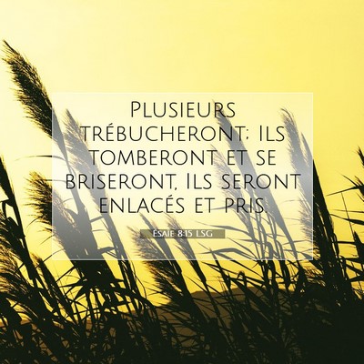 Ésaïe 8:15 LSG Image du verset biblique