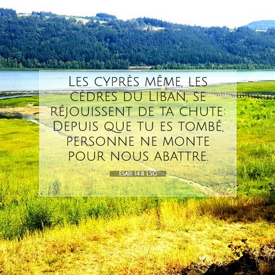 Ésaïe 14:8 LSG Image du verset biblique