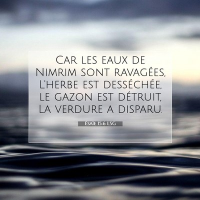 Ésaïe 15:6 Verset biblique expliqué