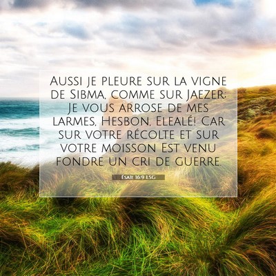 Ésaïe 16:9 LSG Image du verset biblique