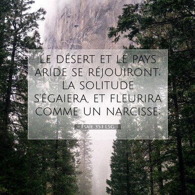 Ésaïe 35:1 LSG Image du verset biblique