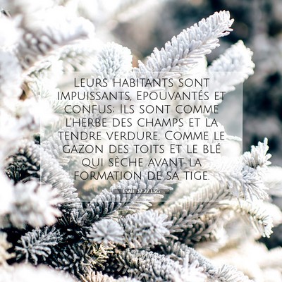 Ésaïe 37:27 LSG Image du verset biblique