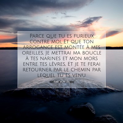 Ésaïe 37:29 LSG Image du verset biblique