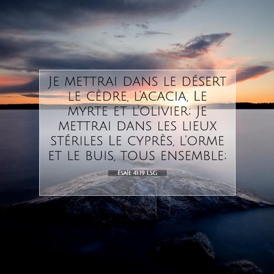 Ésaïe 41:19 LSG Image du verset biblique