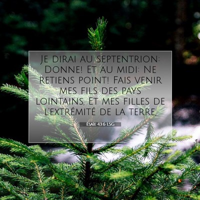 Ésaïe 43:6 LSG Image du verset biblique