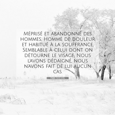 Ésaïe 53:3 LSG Image du verset biblique