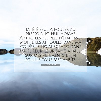 Ésaïe 63:3 LSG Image du verset biblique