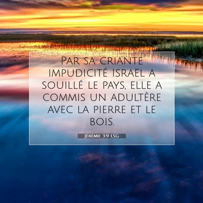 Jérémie 3:9 LSG Image du verset biblique