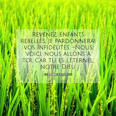 Jérémie 3:22 LSG Image du verset biblique